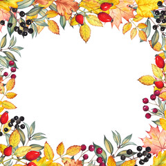 Square frame with autumn leaves and berries.