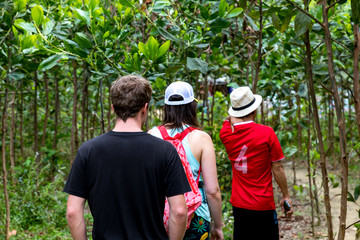 people walking through the jungle in Vietnam