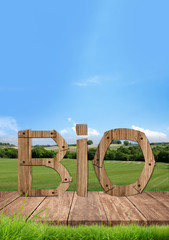 Bio, lettre bio dans l'herbe, concept