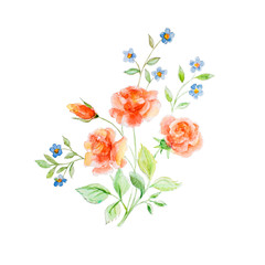 Watercolor hand drawn branch of orange roses and forget me not isolated on white background.