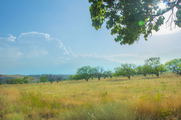 nature, landscape, sky, grass, field, green, meadow, summer, hill, blue, countryside, rural, mountain, panorama, tree, forest, country, clouds, cloud, farm, agriculture, spring, land, horizon, view