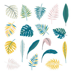 Fototapeta premium Set of tropical leaves. Vector isolated objects