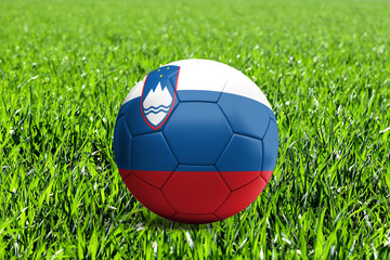 Slovenia Flag on Soccer Ball