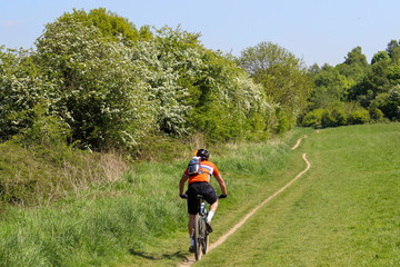 mountain bike rider in the countryside 