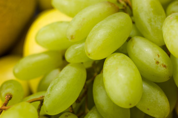 Fresh Fruit Brunch Green Grapes on Shelf in Fresh Fruit market Thailand Travel Background Concept.Green Grapes