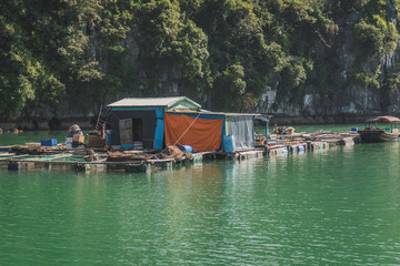 Fototapeta na wymiar Floating Fishing Village In The Ha Long Bay. Cat Ba Island, Vietnam Asia