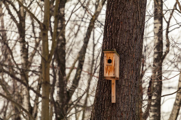 birdhouse hanging on a tree