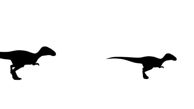 Running dinosaurs, animation on the white background
