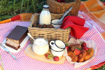 Picnic. Milk, pies, chocolate souffle on a plaid in the field