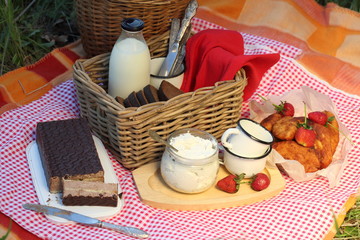 Picnic. Milk, pies, chocolate souffle on a plaid in the field