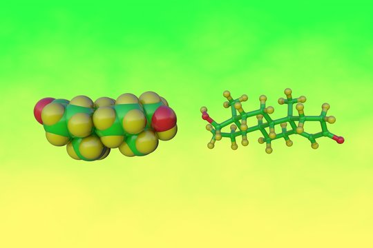 Molecular model of testosterone, steroid hormone from the androgen group. Testosterone is the primary male sex hormone and anabolic steroid. 3d illustration