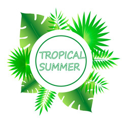 Summer tropical banner with palm leaves and exotic plants. .Vector illustration for design greeting cards, postcards