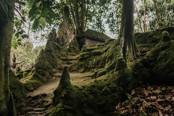 magic garden buddha in thailand