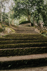 buddha statue in the woods
