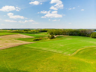 Pole drzewa las łąka z lotu ptaka © Dariusz