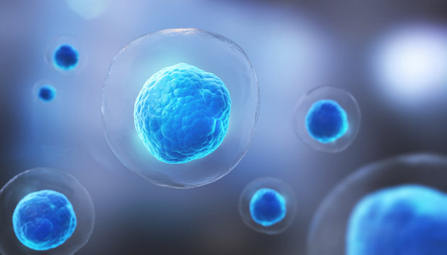 Human cell or Embryonic stem cell microscope background.3d illustration.