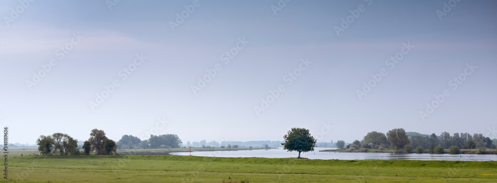 Wall mural landscape with tree on bank of river lek in holland