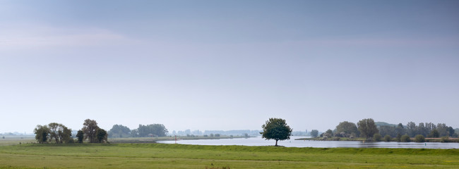 landscape with tree on bank of river Lek in holland
