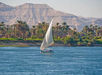 Traditional egyptian felluca sailing boat on Nile