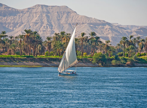 Traditional Egyptian Felluca Sailing Boat On Nile