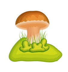 Cartoon mushroom with grass isolated on white vector illustration for background design. Fungi forest autumn plant.