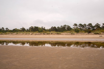 Yagry in Severodvinsk. Unique pine forest. white sea coast. sea tide