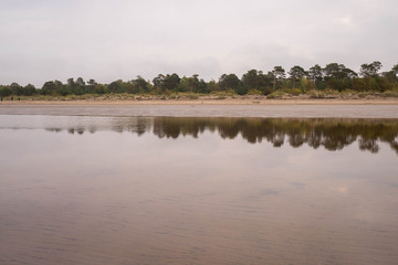 Yagry in Severodvinsk. Unique pine forest. white sea coast. sea tide