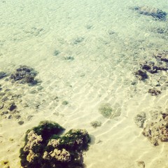 Obraz premium Coral reef in the ocean