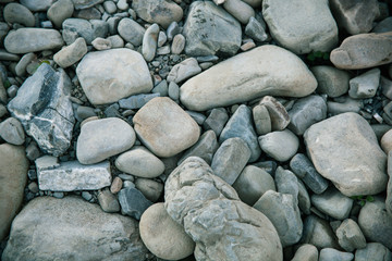 Texture of river stone - bottom (background)