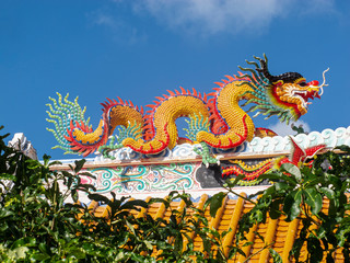 Fototapeta premium Dragons on the roof of a Chinese temple. On Koh Samui