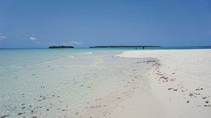 Fototapeta na wymiar tropical beach with white sand