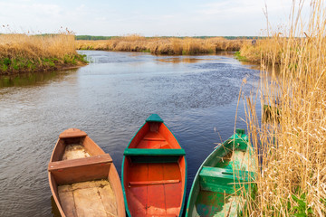Rzeka Narew. Narwiański Park Narodowy, Podlasie, Polska © podlaski49