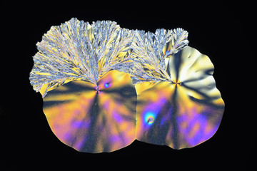 Colorful micro crystals in polarized light. Photo through a microscope.