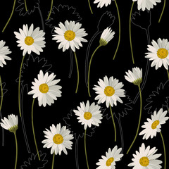 Seamless pattern with white daisies on black background. Vector illustration