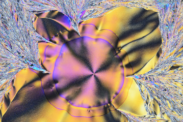Colorful micro crystals in polarized light. Photo through a microscope.
