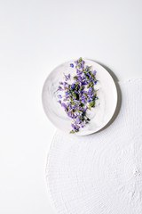 Violet purple edible flowers on white plate over white background. Flat lay, space