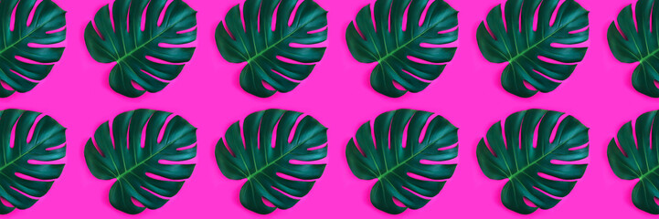 Banner made from monstera leaf isolated on pink background.
