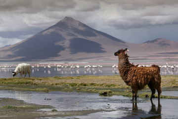 medio día en la Colorada. © Juan