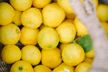 Delicious Japanese food and dishes