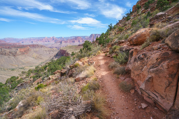 hiking the grandview trail at the south rim of grand canyon in arizona,usa