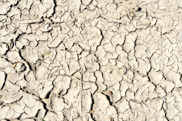 Background and texture of dried and cracked brown mud outdoors