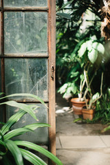 Interior of a garden greenhouse. Old glass door surrounded by plants. Gardening lifestyle.