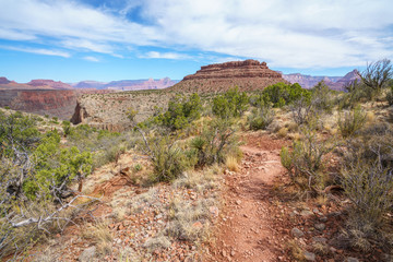 hiking the grandview trail at the south rim of grand canyon in arizona,usa