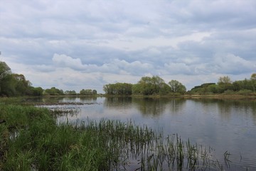 Beautiful river, trees, reflections in the homeland of Sergei Yesenin. Spring