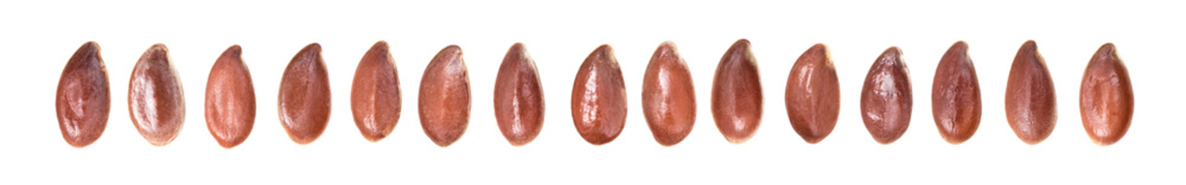 Close Up Of Linseeds Or Flax Seed Orderly Line In Ultra Wide And Isolated On White Background