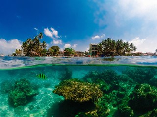 Underwater photography with a special dome for gopro