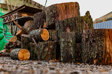 Prepared firewood for the grill and stove. Sawn down thick and thin tree trunks, wet and wet logs, stacked on rubble, a beautiful brown color of rich bark