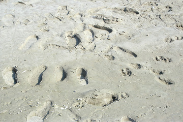 Foot prints in a wet sand on a river shore of the Danube river in Novi Sad Serbia.