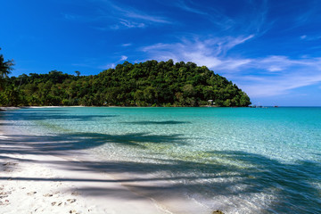 Fototapeta na wymiar Silhouette of a palm trees in water on tropical paradise beach location Koh Kood island, Thailand