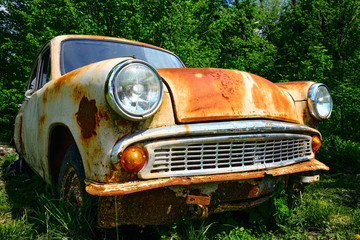Rusty old car among the green bushes in summer.